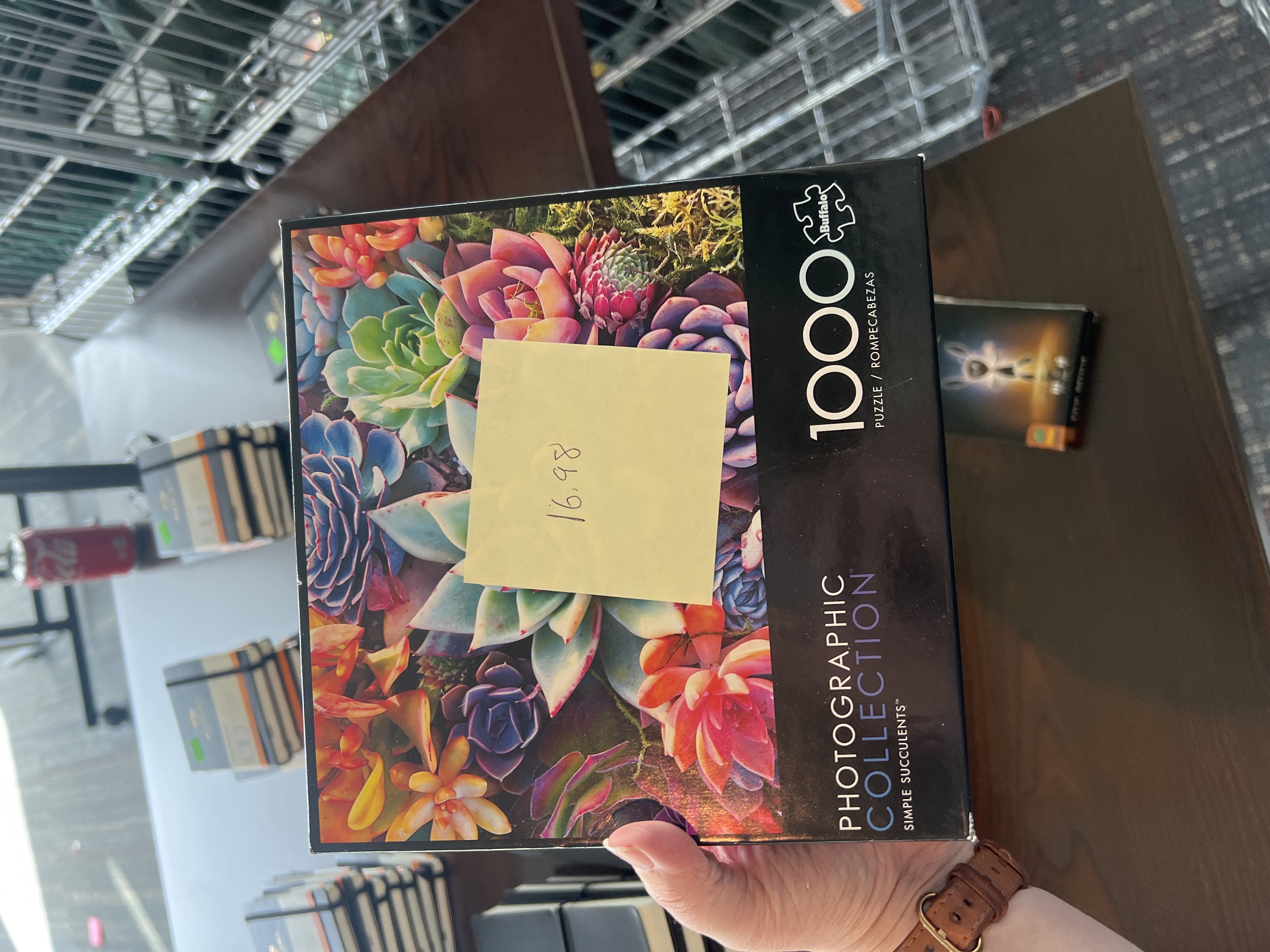 Buffalo Games- Photographic Puzzle 1000pc Simple Succulents