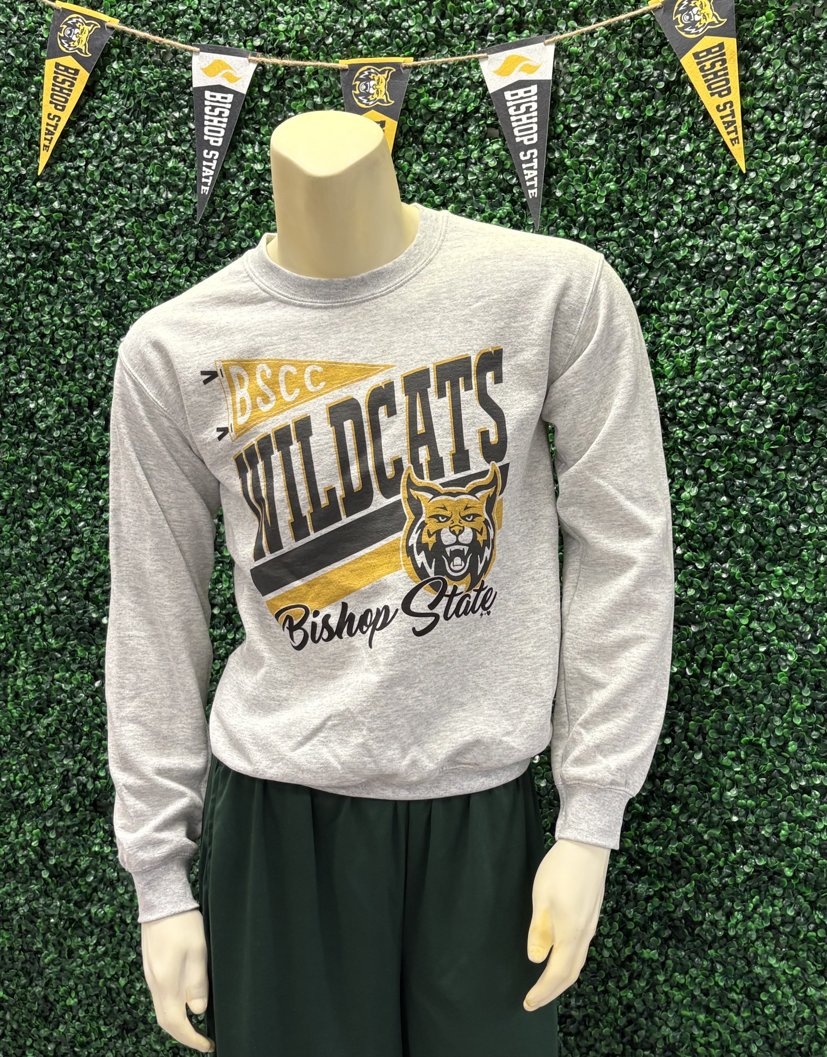 Pennant Mascot Sweatshirt