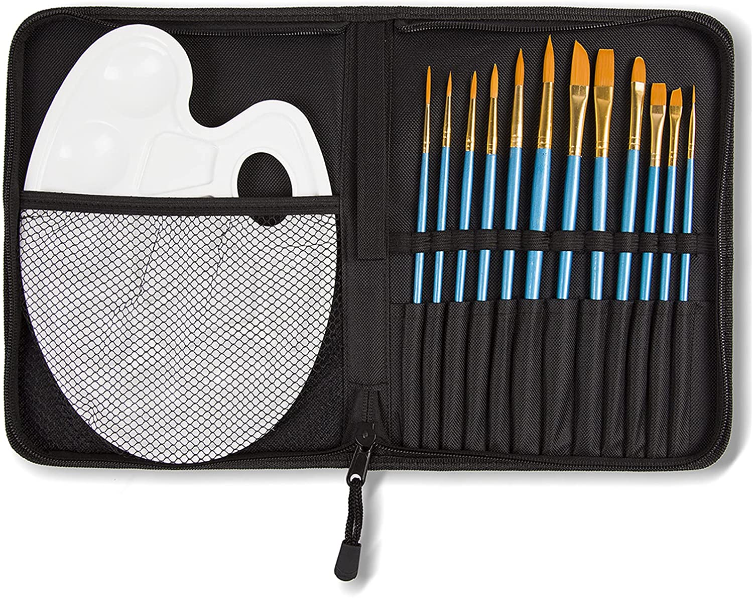 Professional Brush Set With Case