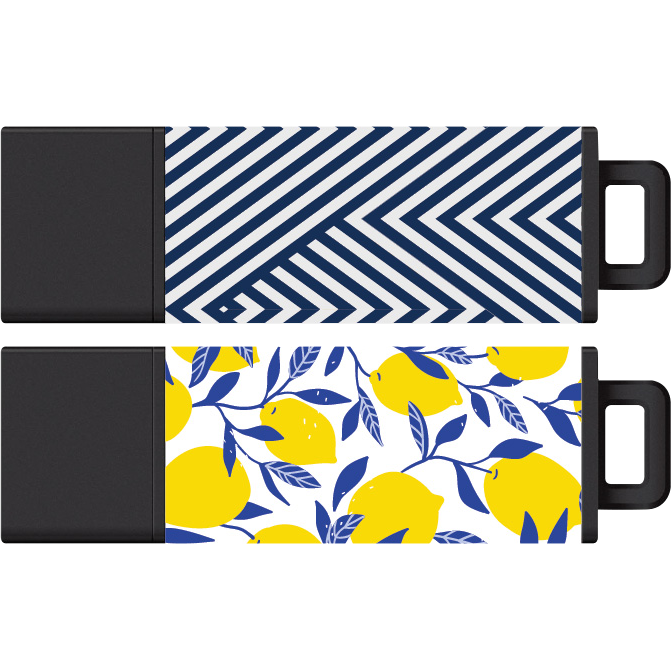 Centon DataStick Pro2 USB 2.0 Flash Drive - Multi 16GB 2Pk Abstract French Blue-Lemon Sweet
