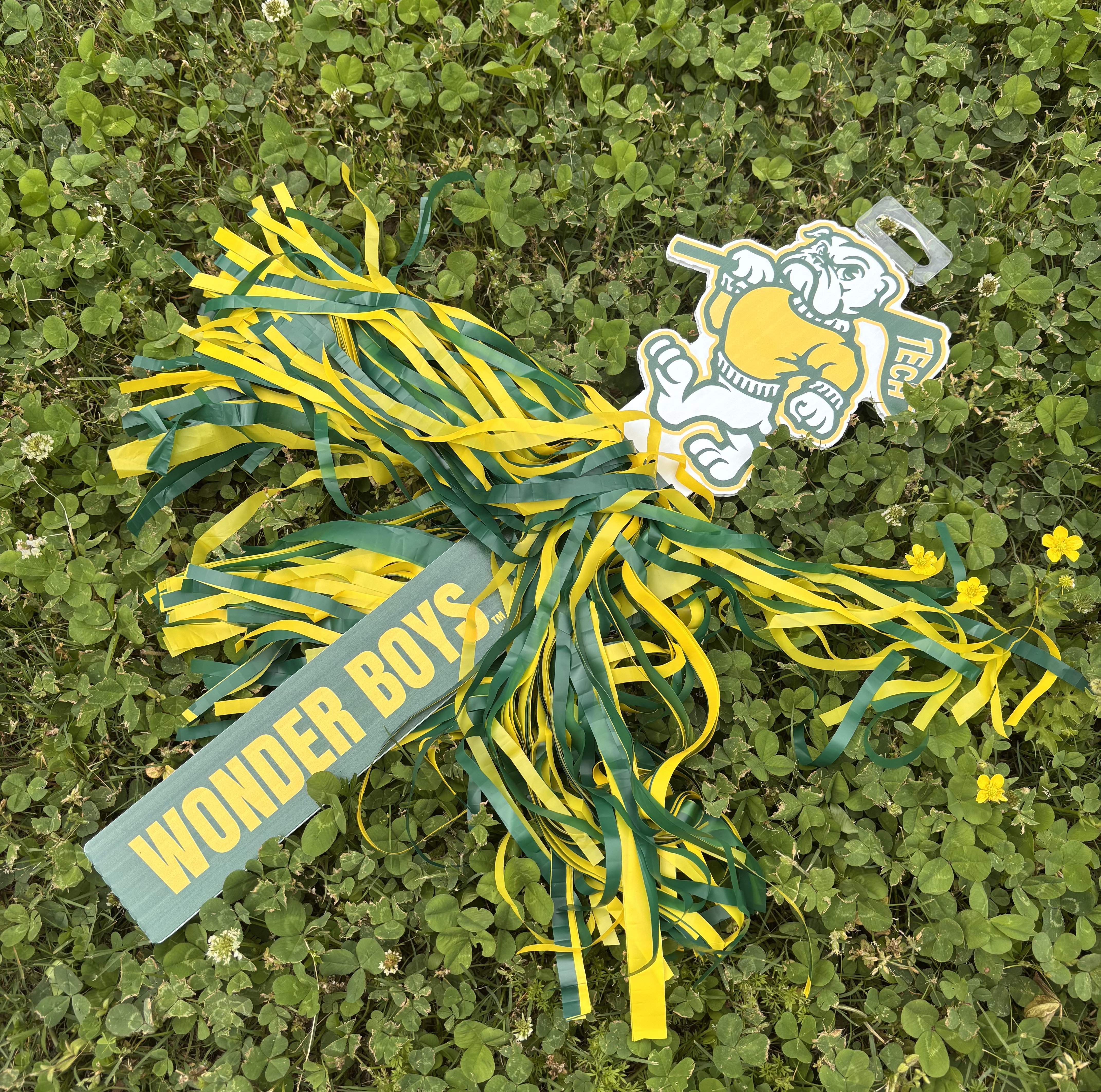 Jerry Pom Pom Stick
