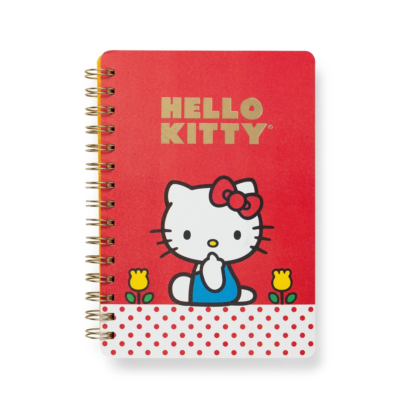 Retro Hello Kitty Agatha Notebook