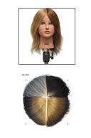 Celebrity Tammie Color Training Manikin