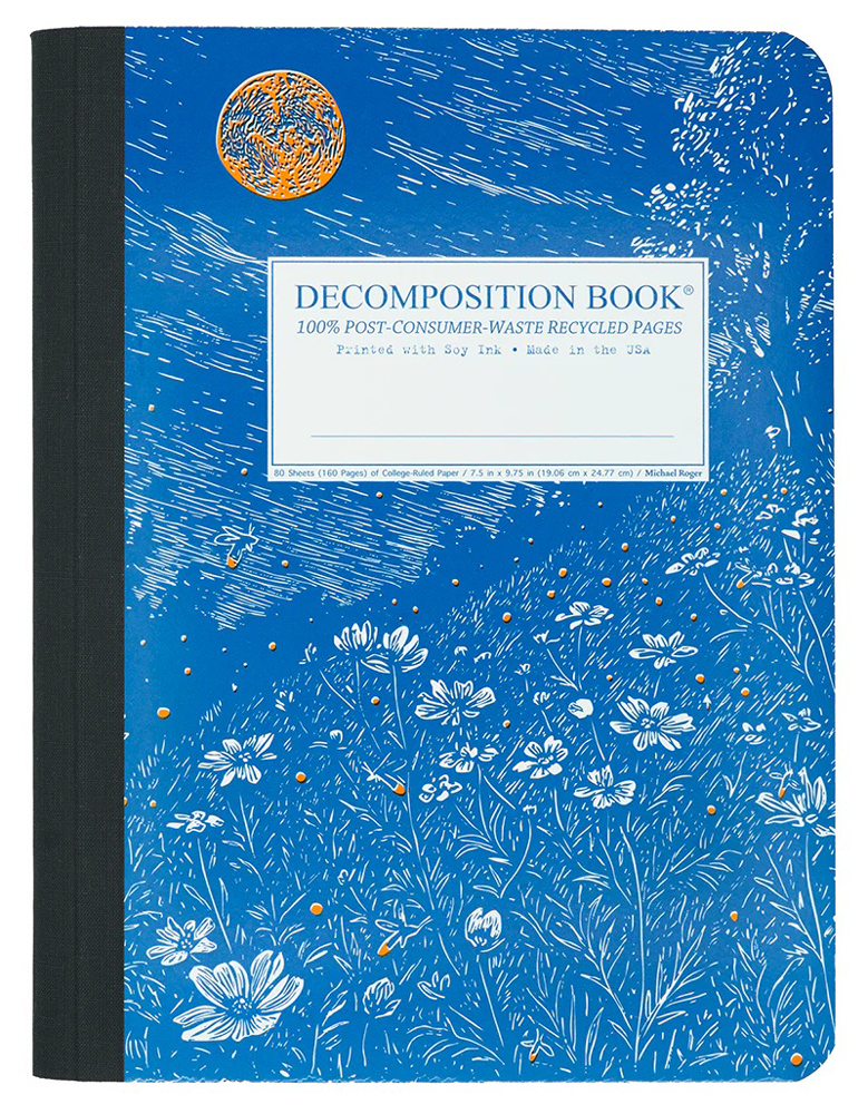 Decomposition Book Fireflies
