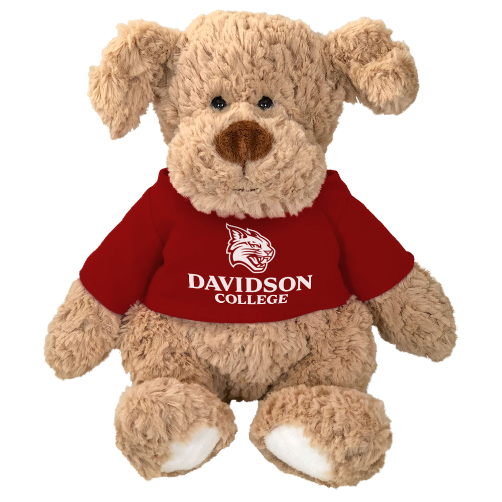 Davidson College Dog Cuddle Buddies