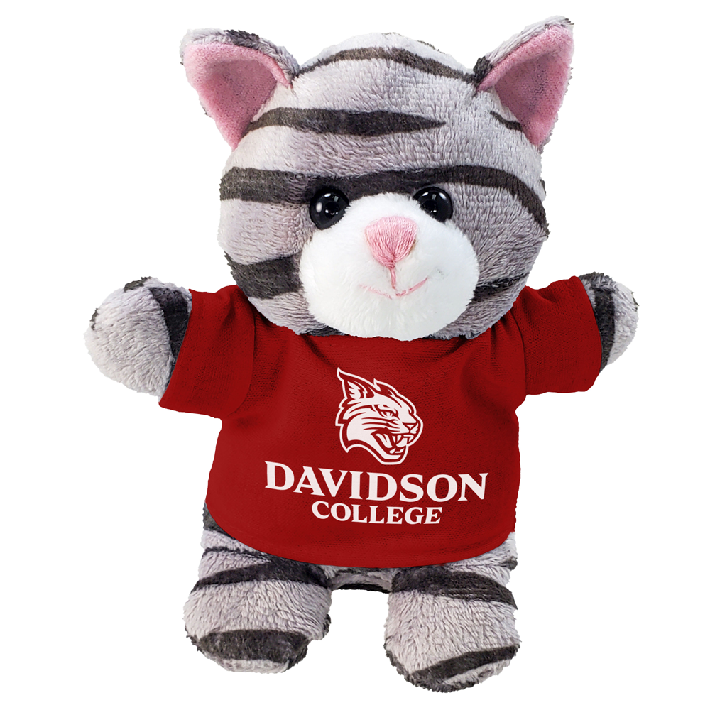 Davidson College Stubby Cat