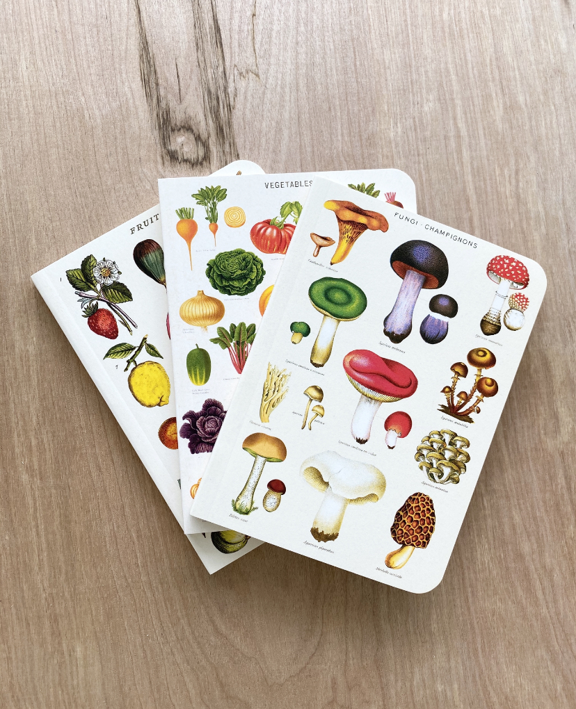 Vintage Mini Notebooks, Garden