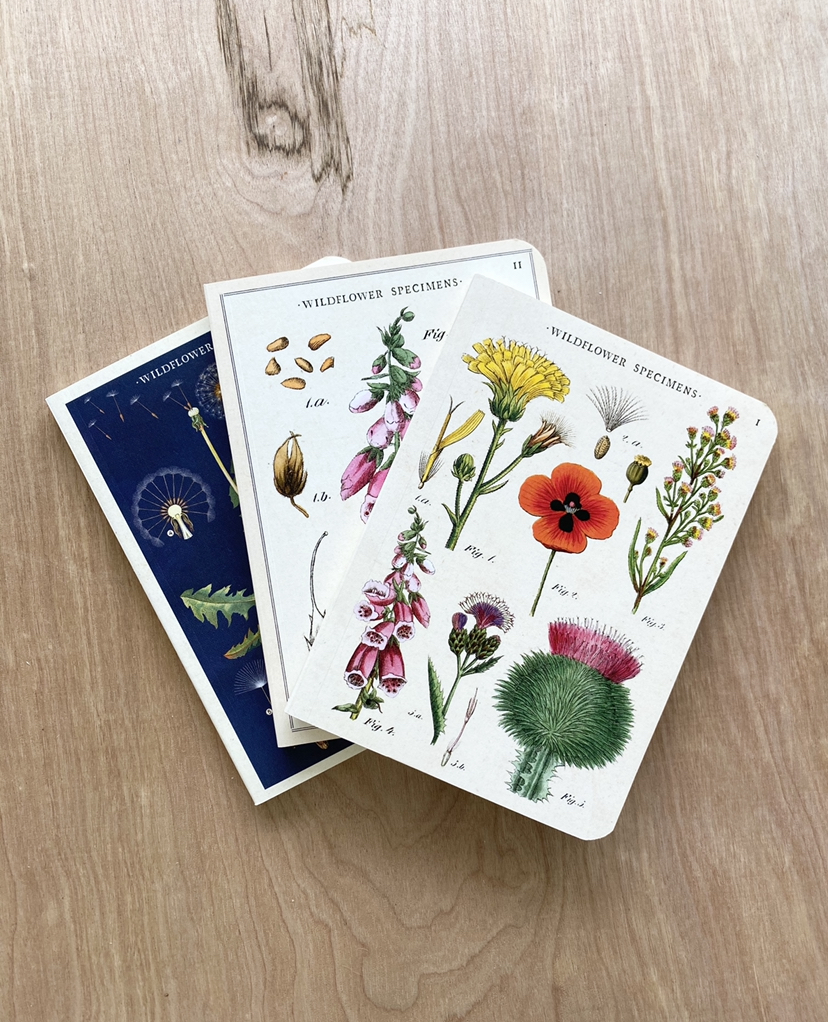 Vintage Mini Notebooks, Wildflowers