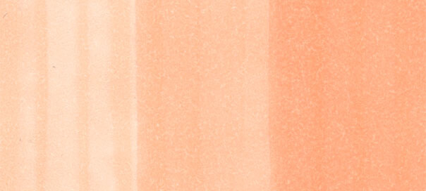 Copic Sketch Markers, Colors E0000 - E99