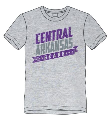 Flash Central Arkansas Tee