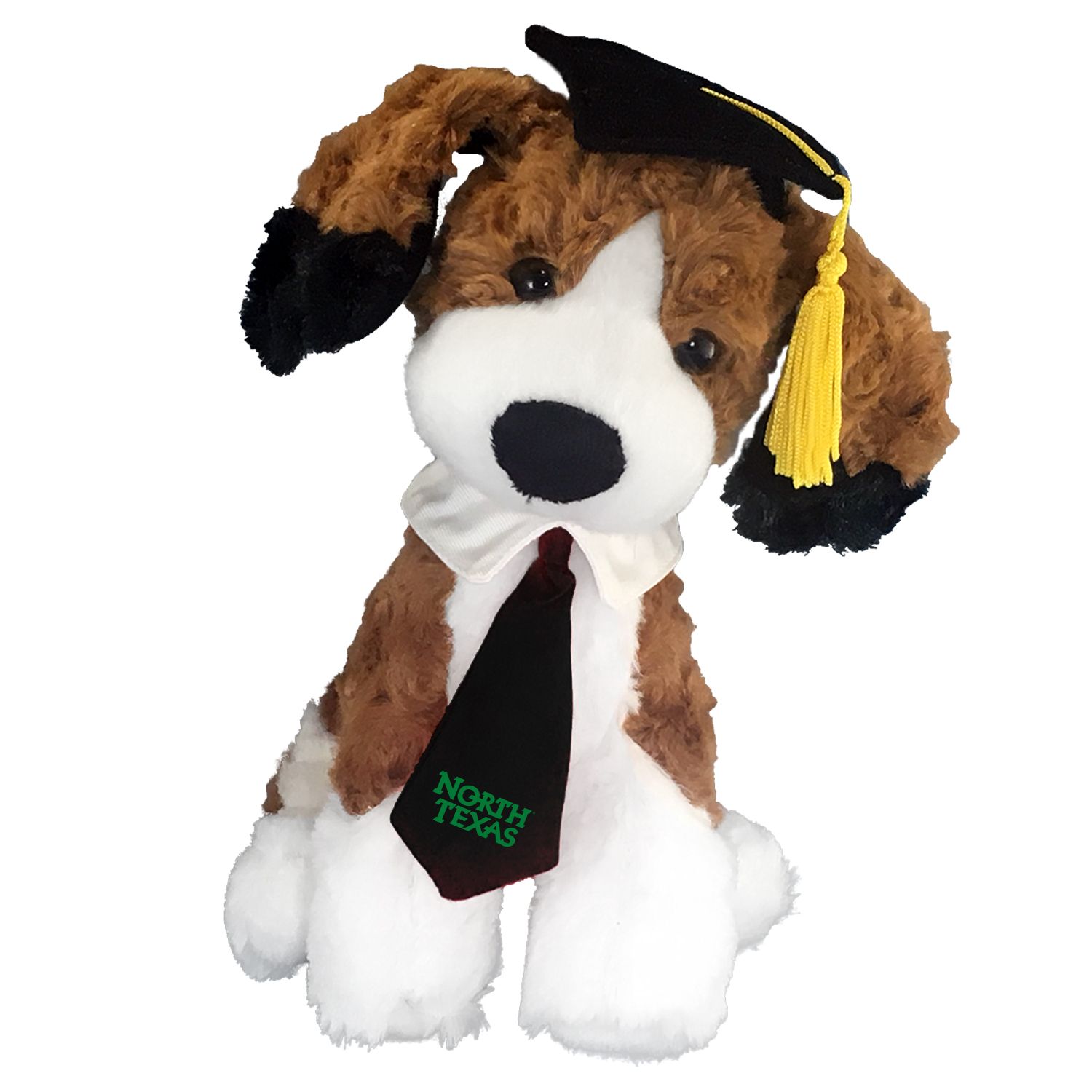 GRAD BEAGLE