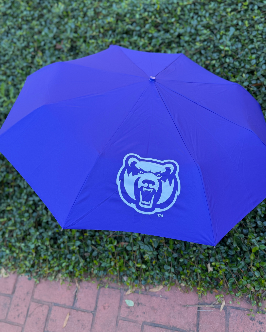 Bearhead Mini Compact Umbrella