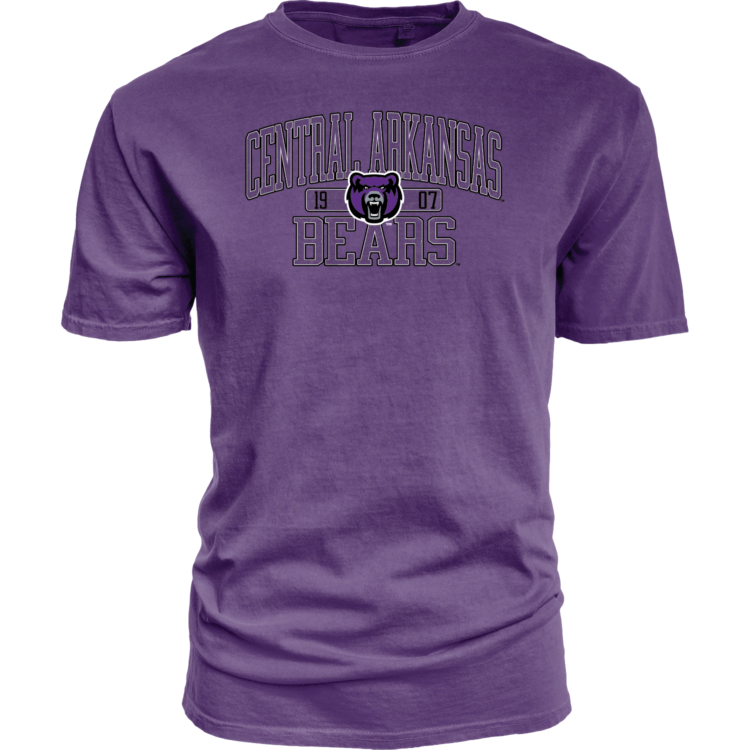Swing Vote SS Tee