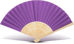Folding Hand Fan
