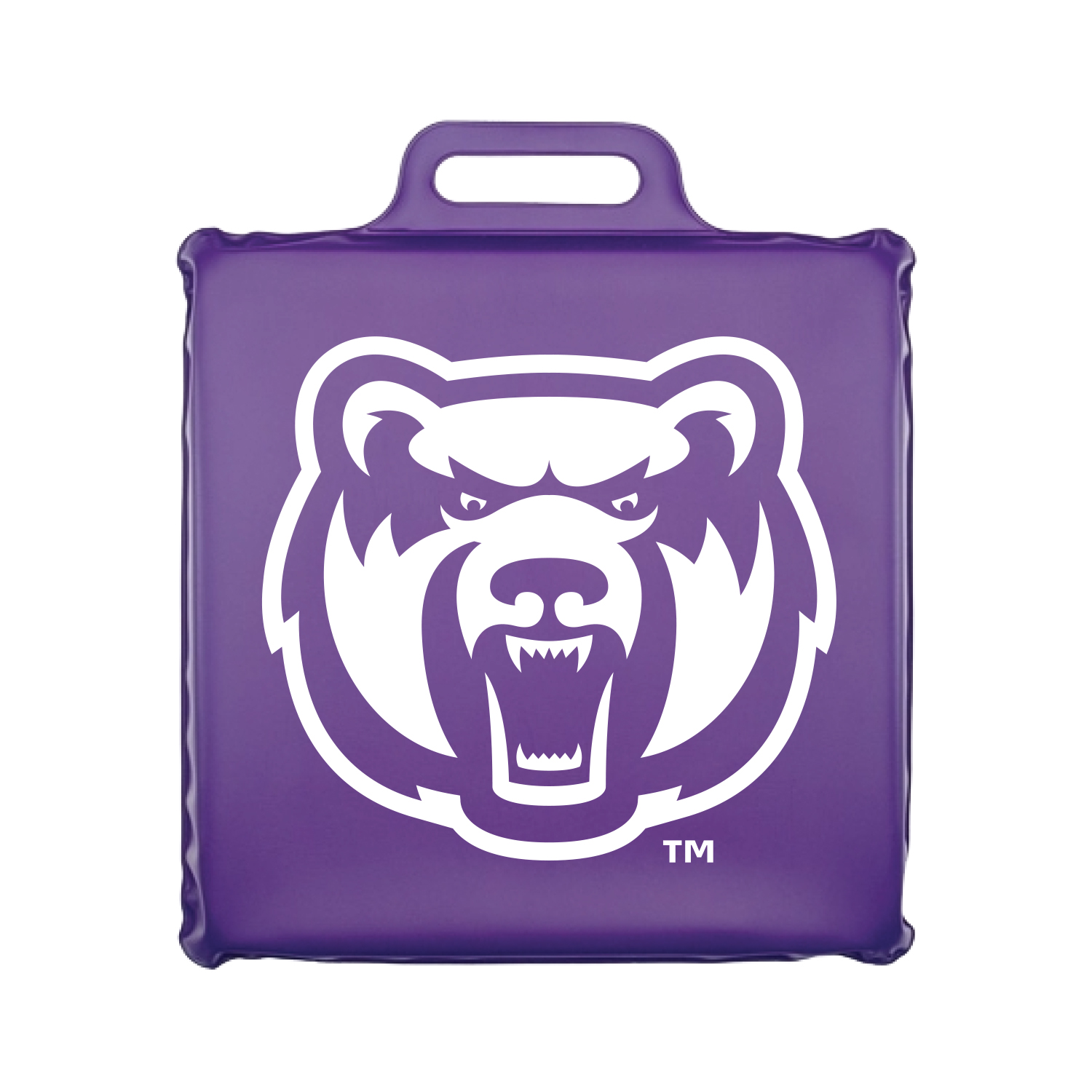 Seat Cushion