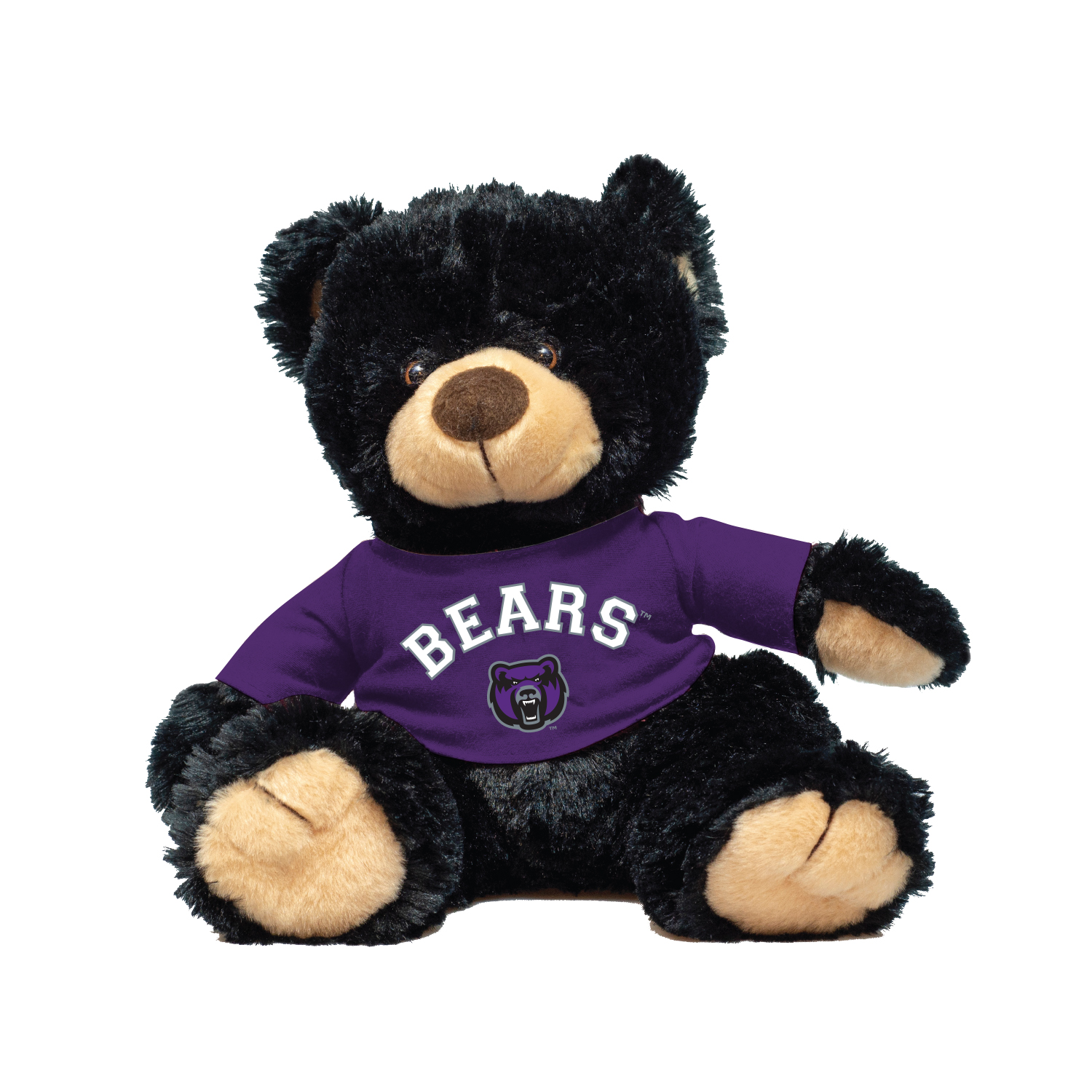 UCA Black Bear Plush