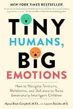 Tiny Humans Big Emotions: How to Navigate Tantrums Meltdowns and Defiance