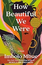 How Beautiful We Were