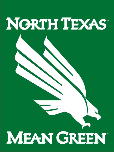 NORTH TEXAS BANNER