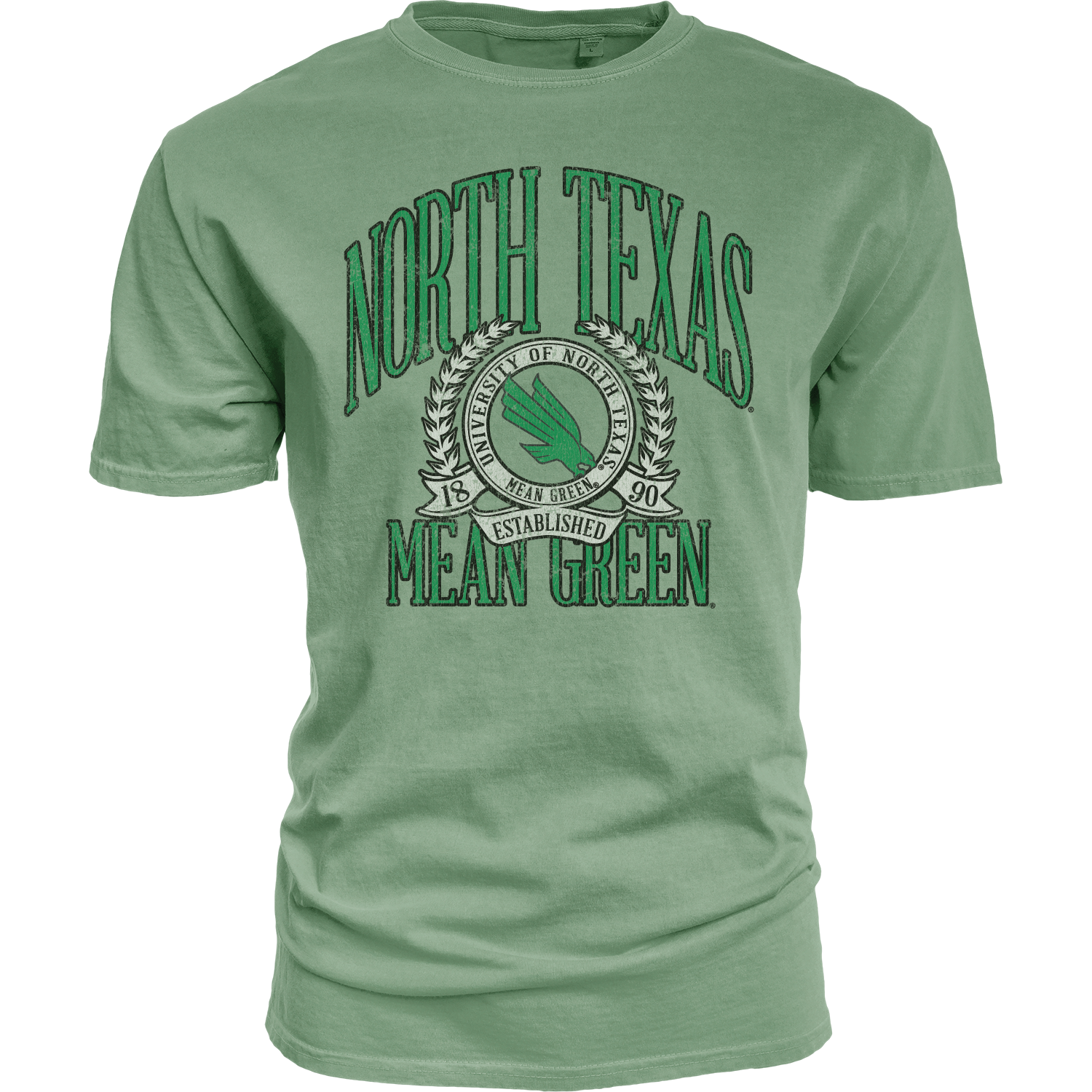 NORTH TEXAS RINSPUN TEE
