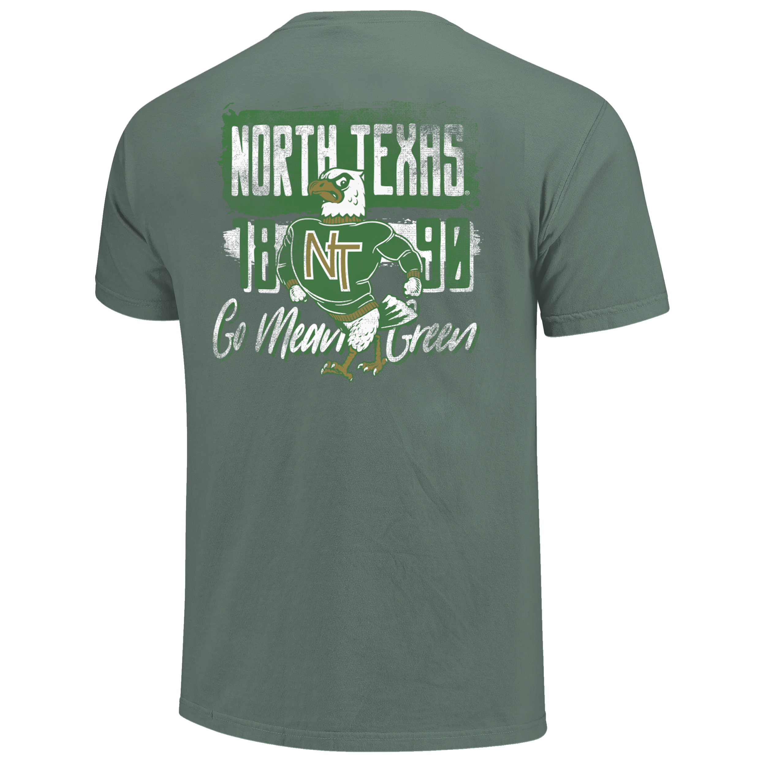 NORTH TEXAS STRUTTING EAGLE TEE