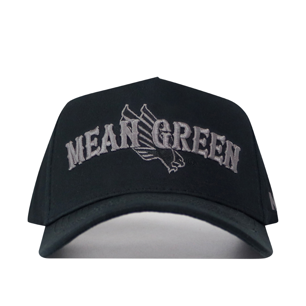 UNT NIGHT MODE HAT