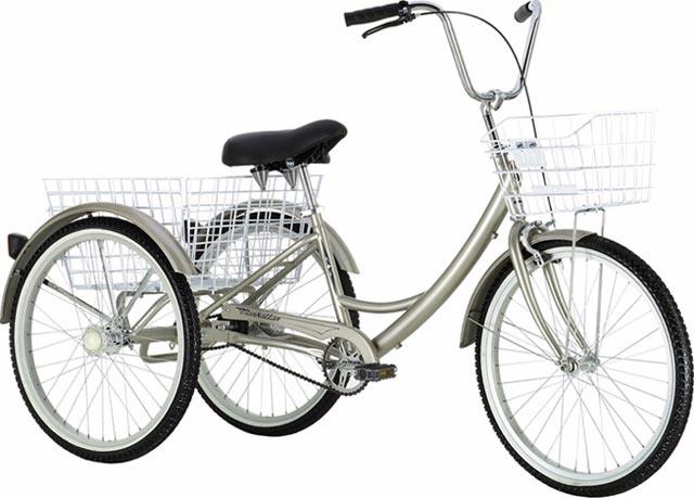 2004 Trike