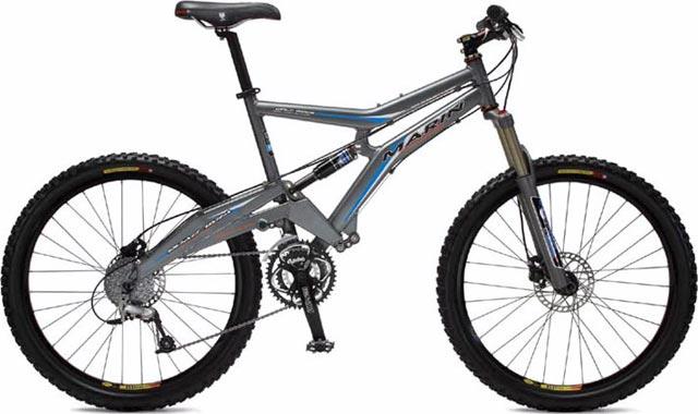 2004 Wolf