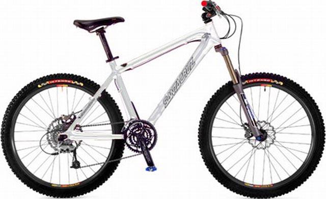 2004 Chameleon