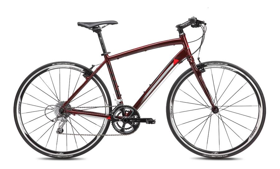 2013 Fuji Absolute 13 StepThru