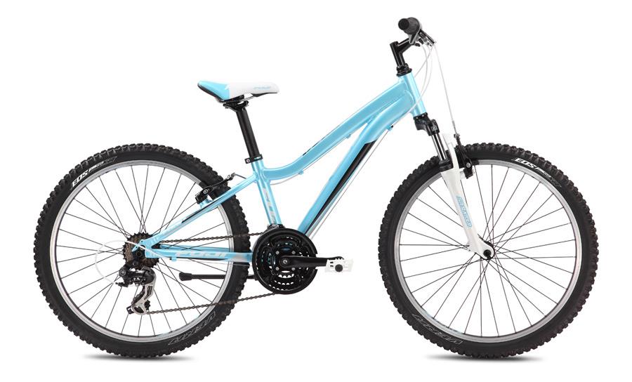 2013 Fuji Dynamite 24 Comp G