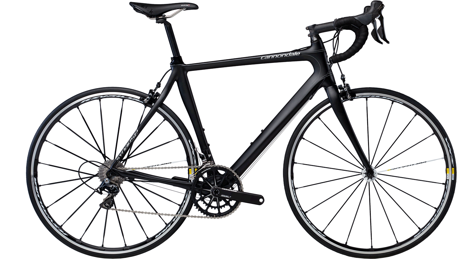 2013 Synapse