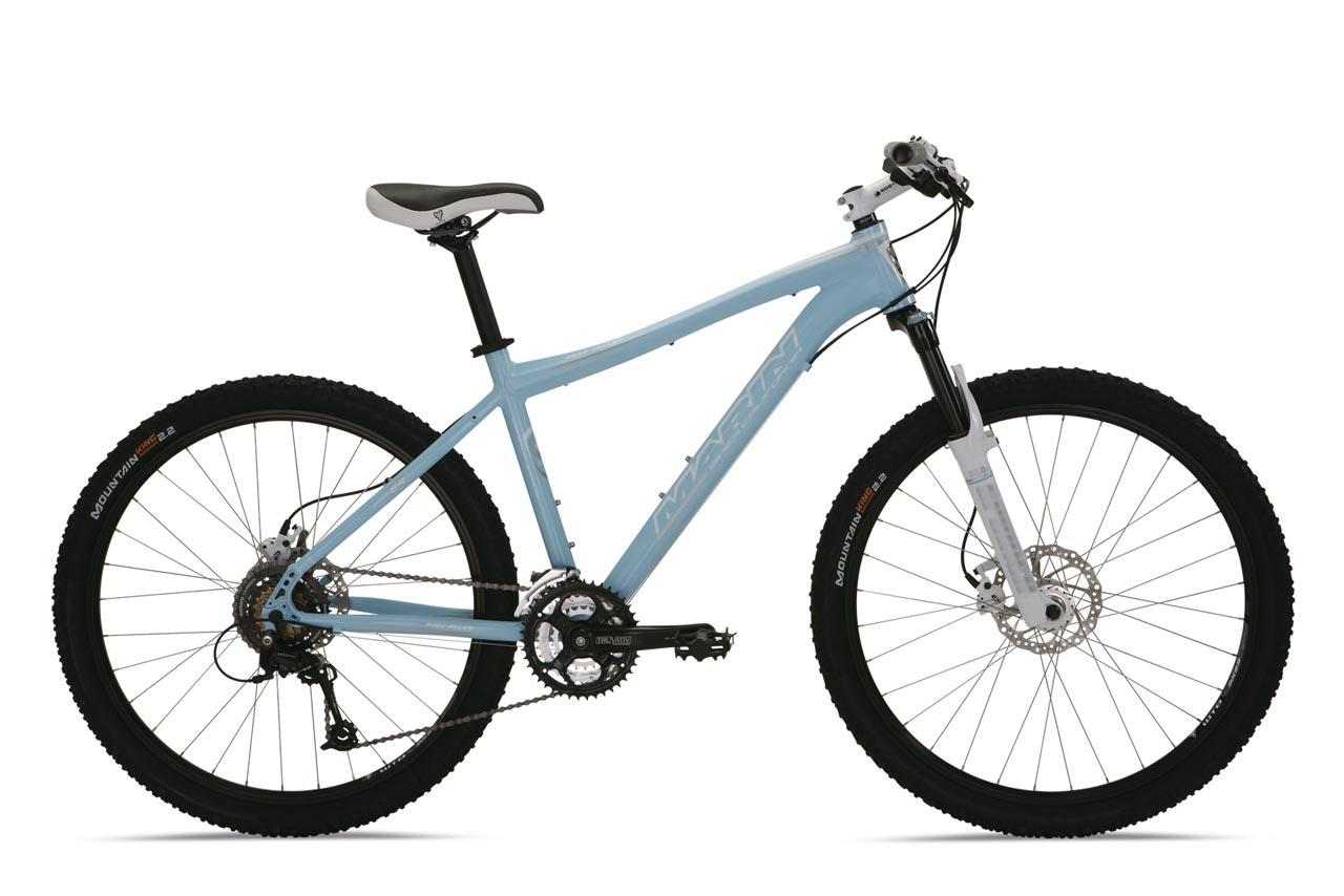 2010 Bear