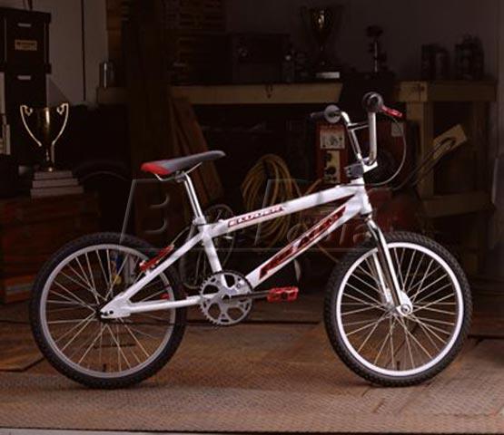 1998 Eluder