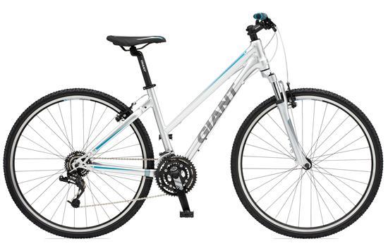 2011 Giant Roam 2 W