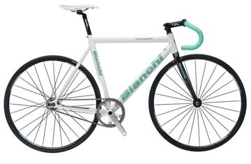 2007 Pista