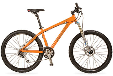 2008 Chameleon