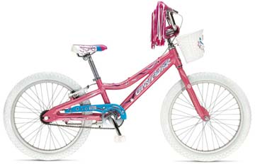 2007 Gary Fisher Astro (Girl's)