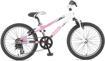 2011 Haro Girls' Flightline Twenty