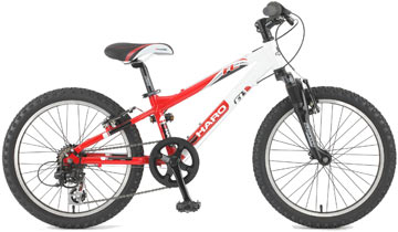 2011 Haro Boys' Flightline Twenty