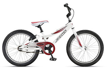 2010 Laser