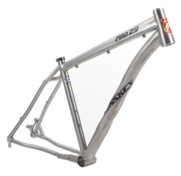 Pro29