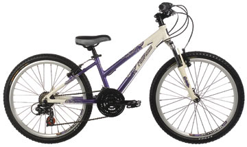 2008 Angel