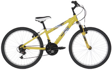 2008 Detonator