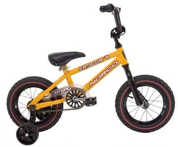 2010 Shogun