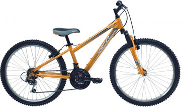 2012 Detonator