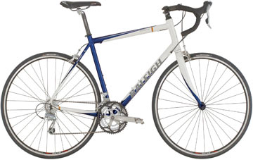 2007 Raleigh Cadent 2