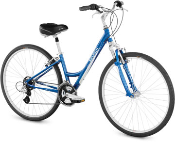 2008 Raleigh Detour 3.0 Women's