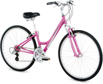2008 Raleigh Detour 4.0 Women's