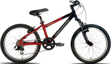 2007 Rocky Mountain Grind 20